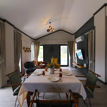 Golondrina * فتحية