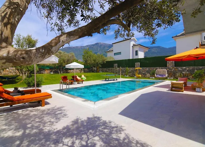 ヴィラ Golondrina フェティエ