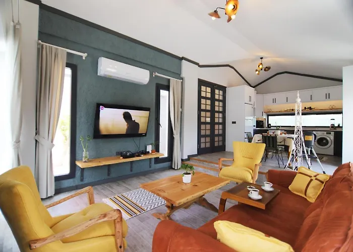 Golondrina Фетхие